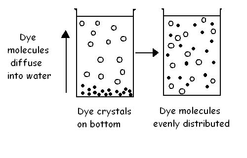 Image:Diffusion in a liquid.JPG